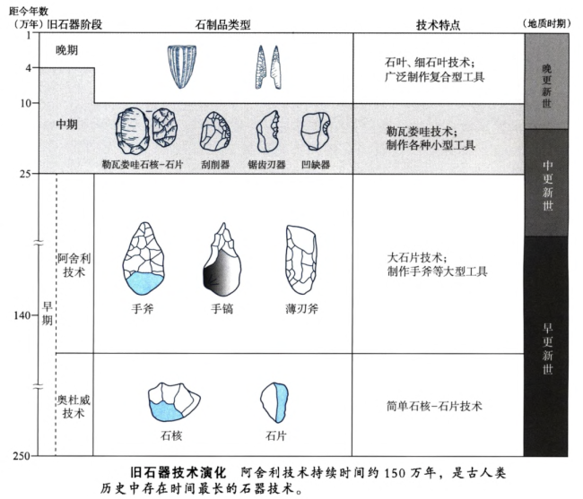 石器时代职业技能解析图(石器时代职业技能解析图表)